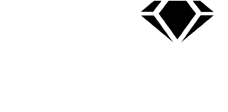 Black Diamond Limo Party Bus OKC